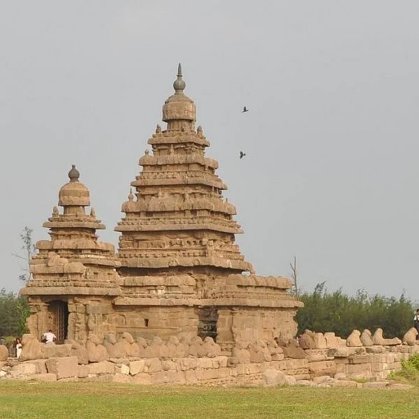 தொடர்ந்து கரை ஒதுங்கும் மாணவர்களின் சடலங்கள்... கண்ணீரில் மிதக்கும் மாமல்லபுரம்!