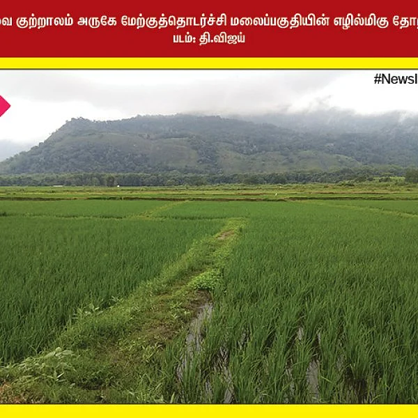 நெல்லையப்பர் கோவிலில் ஏற்றப்பட்ட பரணி தீபம்... மேற்குத்தொடர்ச்சி மலையின் எழில்மிகு தோற்றம்... #NewsInPhotos தொகுப்பு & வடிவமைப்பு - க.குமரகுரு