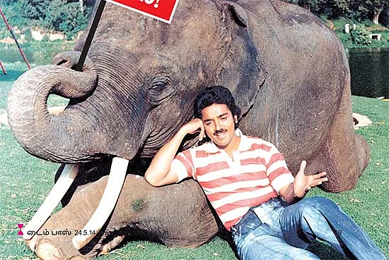 இது அனிமல்ஸ் புலம்பல்ஸ்!