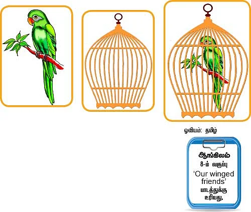 கிளியும் நம் நண்பனே !