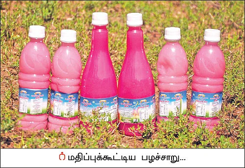10 ஏக்கர்... ஆண்டுக்கு ரூ 30 லட்சம் வருமானம்! - கொட்டிக் கொடுக்கும் கொய்யா