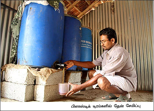 மாதம்தோறும் 1,00,000 தெம்பான வருமானம் தரும் இத்தாலியத் தேனீ !