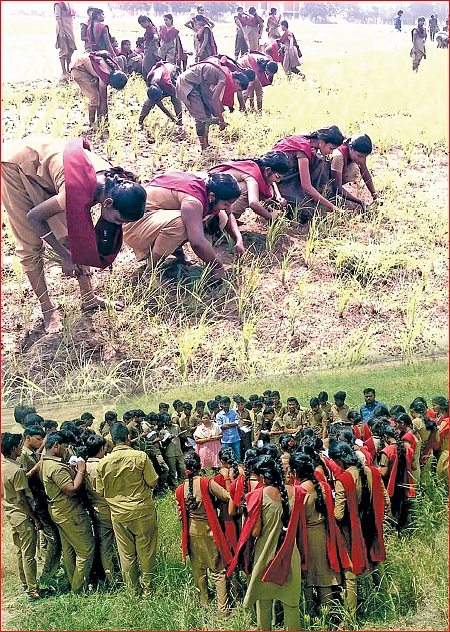 அய்யய்யோ அக்ரி கல்லூரிகள்! - ஓர் எச்சரிக்கை ரிப்போர்ட்...