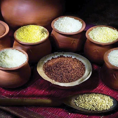 அள்ளித் தரும் ஆர்கானிக் பிசினஸ்!