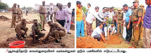 காணும் இடமெல்லாம் கானகம்... வாழும் இடமெல்லாம் வனம்!