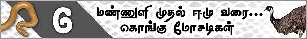மண்ணுளி முதல் ஈமு வரை! (மிரள வைக்கும் கொங்கு மோசடிகள் - 11)