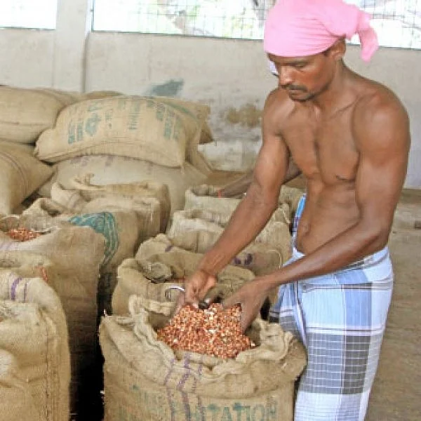 கடலைக்கு 12% பிஸ்தாவுக்கு 5% - ஜி.எஸ்.டி வரி! குமுறும் சிறு வணிகர்கள்