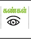 டிப்ஸ்