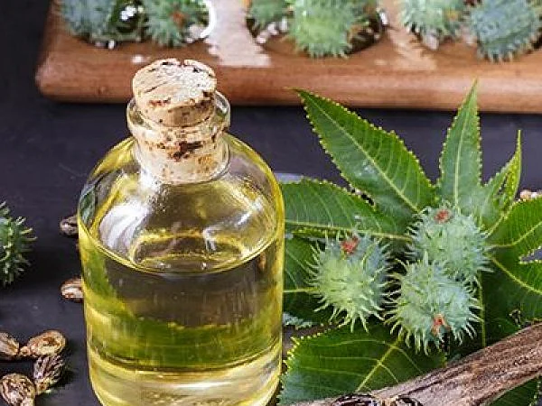 Multiple health uses of castor oil