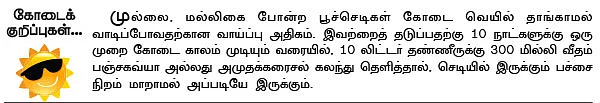 வெண்டை, கீரை, அவரை, மிளகாய்... 3மாதம் 90 ஆயிரம்...