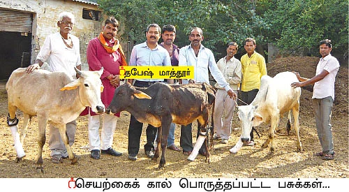 கால்நடைகளுக்கும் செயற்கைக் கால்... அரசு மருத்துவரின் அர்ப்பணிப்பு!