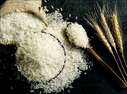 இரும்புச்சத்து கால்சியம் வைட்டமின்... ஊட்டங்கள் ஒரு கண்ணோட்டம்!