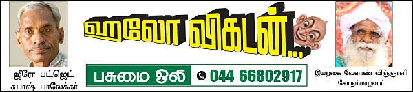 பசுமை ஒலி