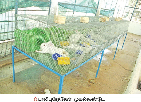 விவசாயிகளுக்கு கைகொடுக்கும் விதவிதமான கருவிகள்...