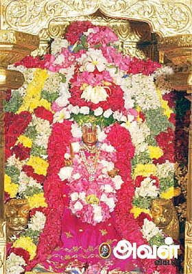 அருள் தரும் அம்மன் உலா!
