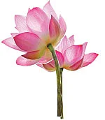 அருள் மழை!