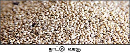விருது வாங்கிக் கொடுத்த விதைகள்!