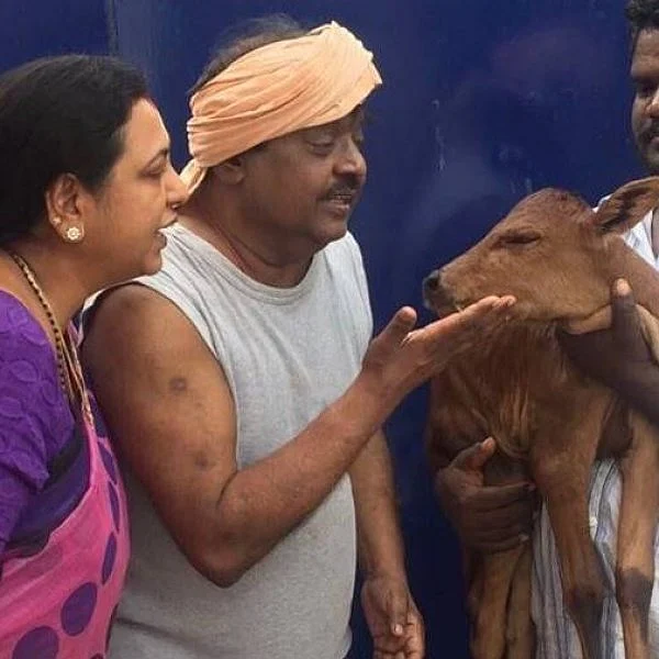 `வெள்ளிக்கிழமை அதுவுமா பசு மாடுகள் திருடு போயிடுச்சே!’ - அப்செட்டில் விஜயகாந்த் குடும்பம்