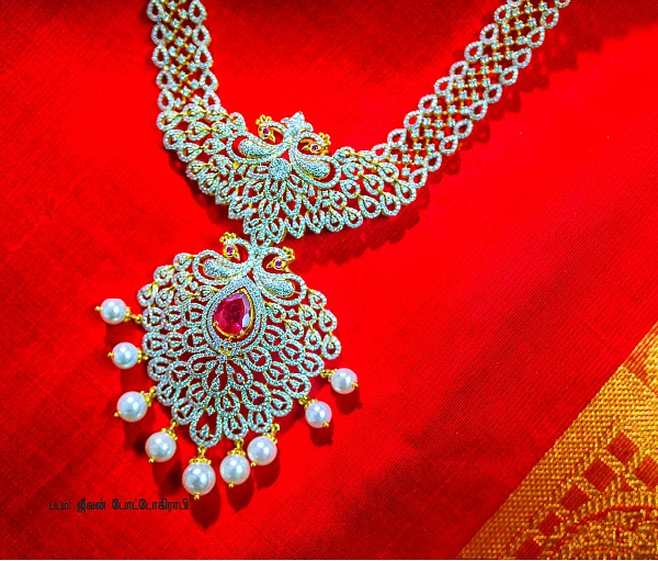 கண்கவர் நகைகளின் காட்சி!