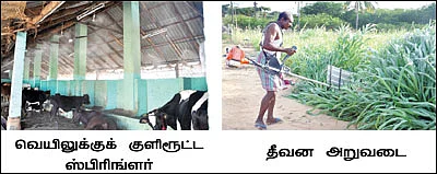 1 லிட்டர் பால் ரூ 24 !
