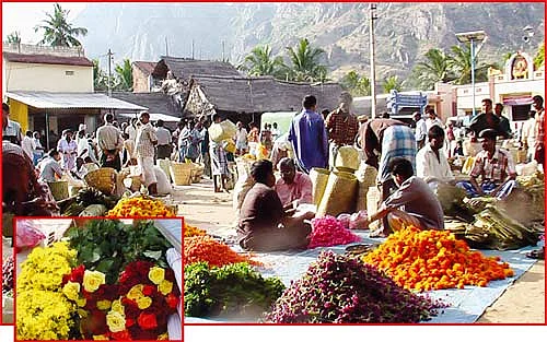 கரன்சியில் கேரள வாசம்!