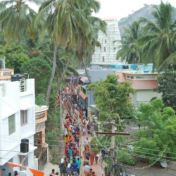 மாலையில் தொடங்கிய சிவாலய ஓட்டம் நள்ளிரவில் முடிகிறது! - லட்சக்கணக்கான பக்தர்கள் பங்கேற்பு