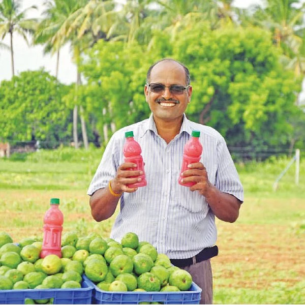 கொஞ்சம் ப்ளஸ்... நிறைய லாபம்! - கொழிக்கும் லாபம் கொடுக்கும் கொய்யாச் சாறு!