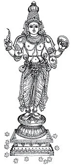 உள்ளங்கையில் சில உண்மைகள்