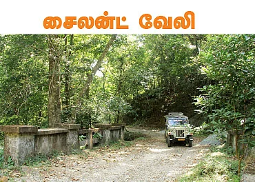 டூர் ஸ்பெஷல்