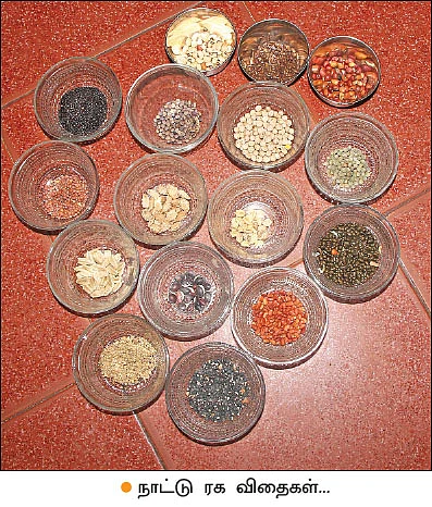 நாட்டு விதைகள் இலவசம்... அசத்தும் மாடித்தோட்ட ஆர்வலர்!