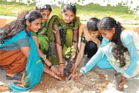 விஷ் யூ ஹேப்பி நியூ இயர்...