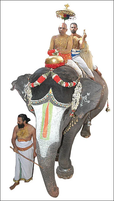 பேரும் புகழும் அருளும் பெரிய திருமஞ்சனம்!