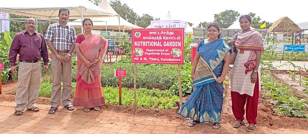 வீட்டுக்குள் விவசாயம் - 13