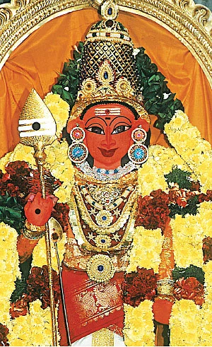 முருகனுக்கு தாராபிஷேகம்!