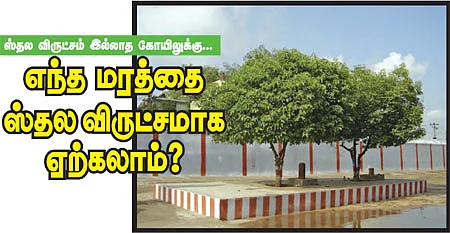 கேள்வி-பதில்