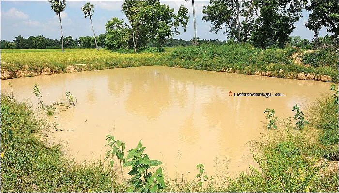40 சென்ட்டில் ரூ.1 லட்சம்... கலக்கல் வருமானம் கொடுக்கும் ‘காஞ்சி’ கத்திரி..!