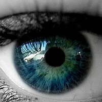 Eye