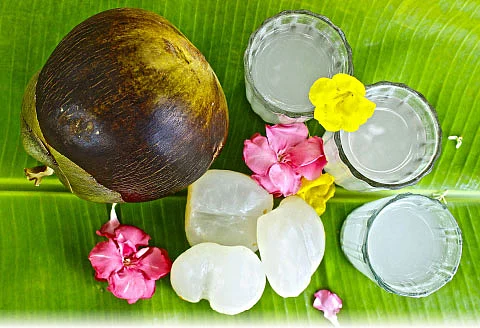 கோடையின் கொடை நுங்கு - பதநிர்