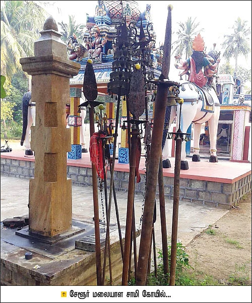 தெய்வ மனுஷிகள் - பாவாயி