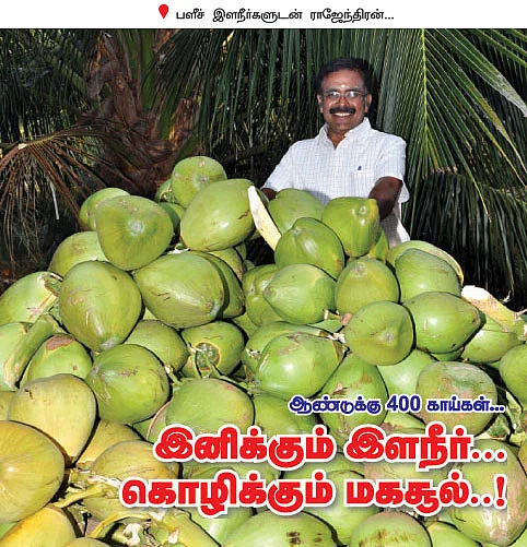 ஆண்டுக்கு 400 காய்கள்...