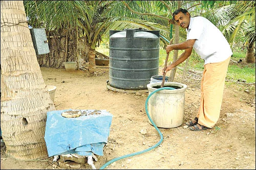 பஞ்சகவ்யா! - 21 - விளைச்சலைக் கூட்டும் ‘பஞ்சாமிர்த’ பஞ்சகவ்யா!