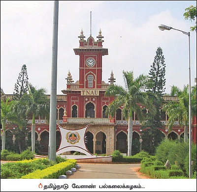 பூச்சிக்கொல்லி விஷம் - 35 ஆண்டுகளாகத் தொடரும் விபரீதம்!
