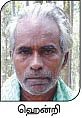 முன்னோருக்குத் தர்ப்பணம்... மரத்துக்கு வந்தனம்...