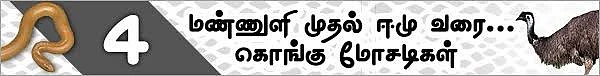 மண்ணுளி முதல் ஈமு வரை! (மிரள வைக்கும் கொங்கு மோசடிகள் - 11)