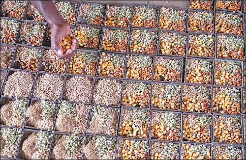 நீங்கள் கேட்டவை: “விதைகளை வழங்கும் ஆராய்ச்சி மையங்கள் எங்கு உள்ளன?”