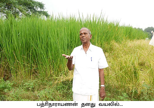 பரிசு வாங்கிக் கொடுத்த இயற்கை விவசாயம்!