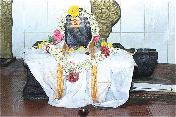 அகத்திய தரிசனம்! - சிலிர்ப்பூட்டும் தகவல்கள்