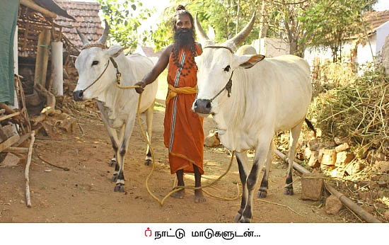 விடிஞ்சா பணம்... விவசாயச் சித்தரின் வெற்றிச் சூத்திரம்...