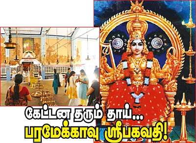 கேட்டன தரும் தாய்... பரமேக்காவு ஸ்ரீபகவதி!