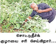 ஏக்கருக்கு 30 டன்... களிமண்ணிலும் களை கட்டும் கத்திரி !